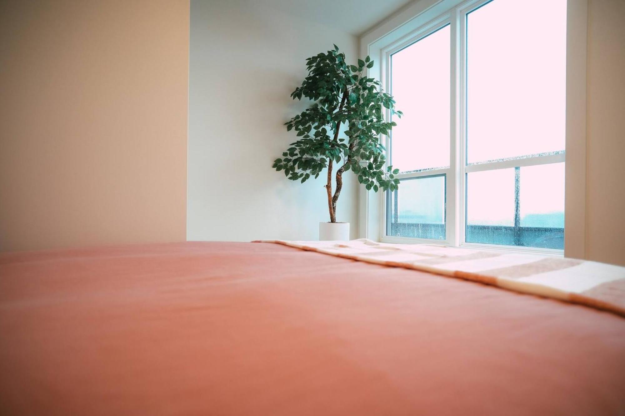 Chic Cozy Retreat - 2Br - Stunning North End Views Apartment ฮาลิแฟกซ์ ภายนอก รูปภาพ